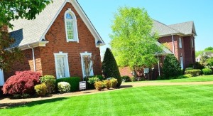 lush green lawn in front yard