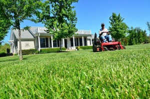 Man on a red riding mower